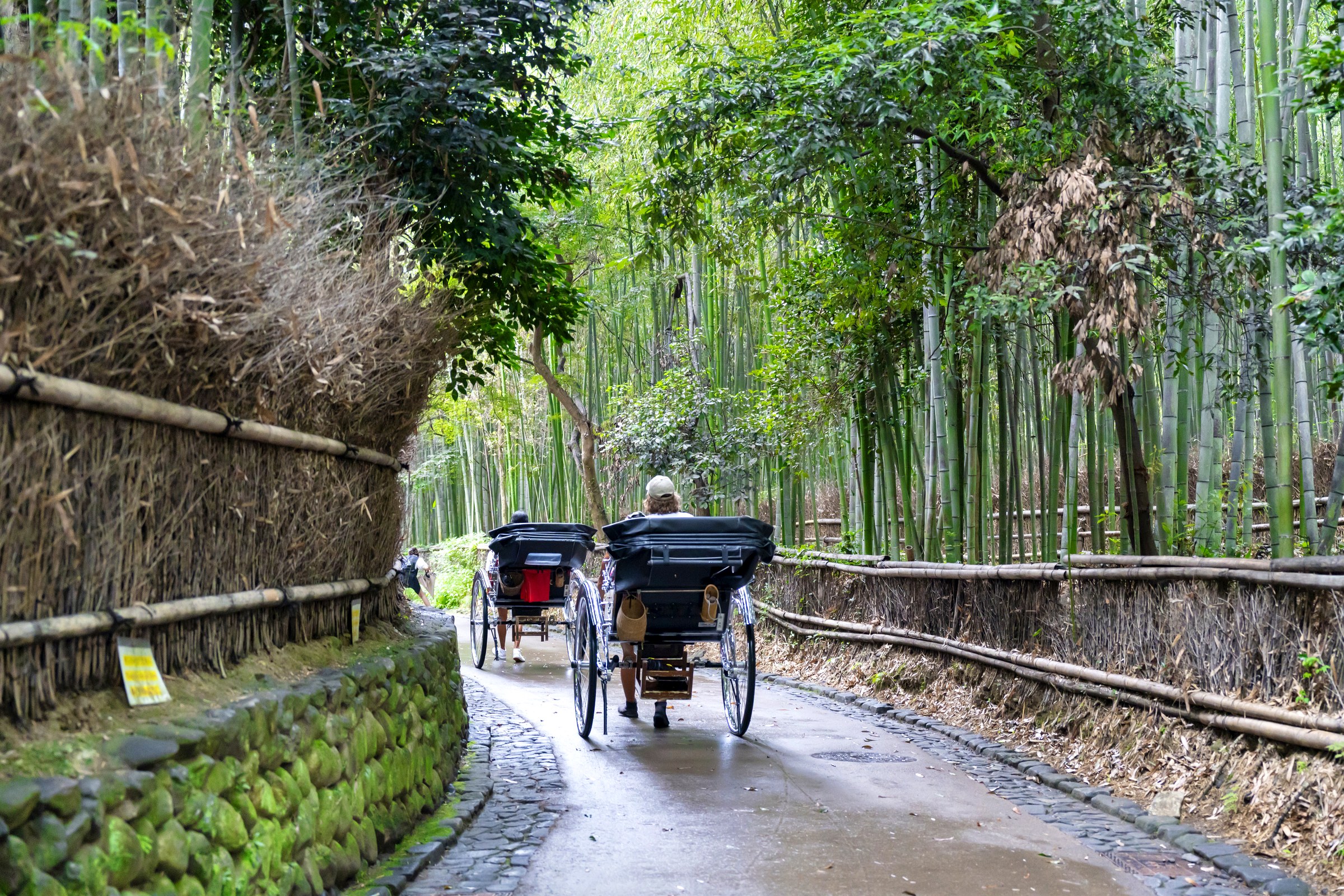 嵐山 竹林の小径と人力車