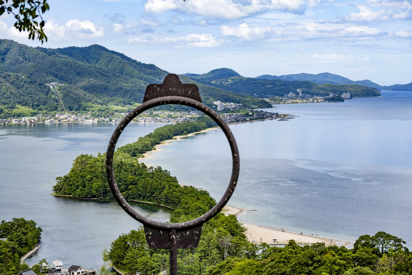 夏の天橋立　松並木と海