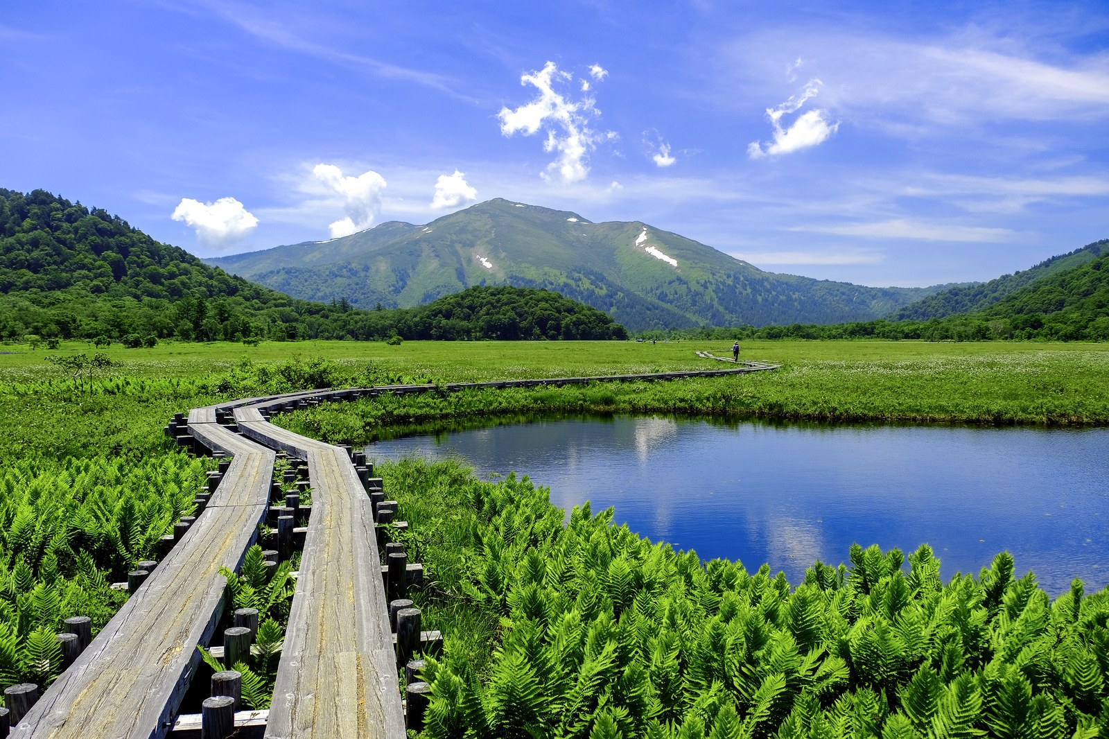 尾瀬ヶ原の木道から望む夏の至仏山（写真=PIXTA）