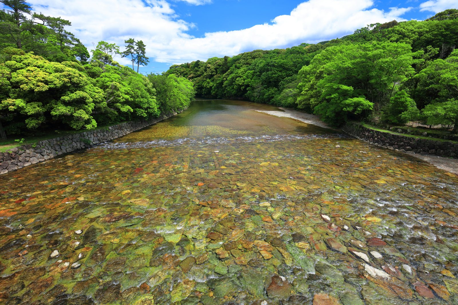 伊勢神宮 五十鈴川