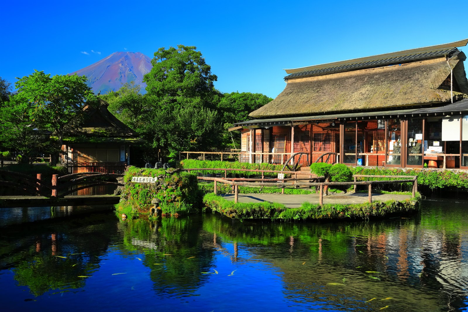 夏の忍野八海と富士山