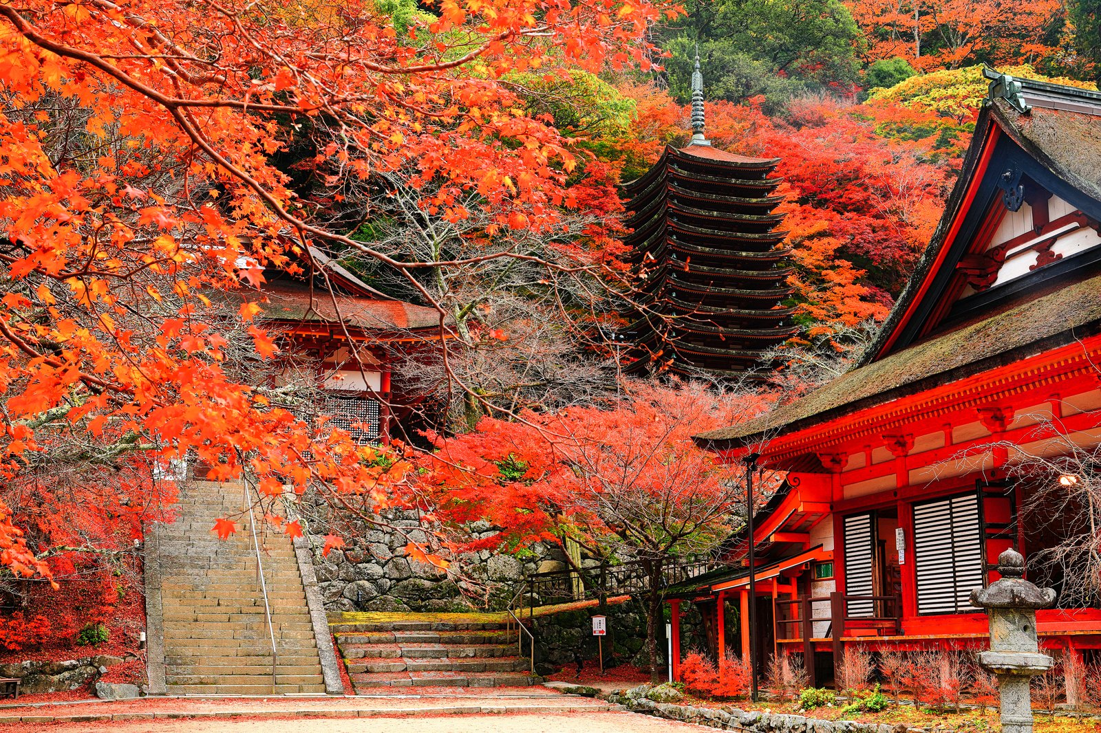 談山神社の十三重塔と朱塗りの社殿を包む紅葉