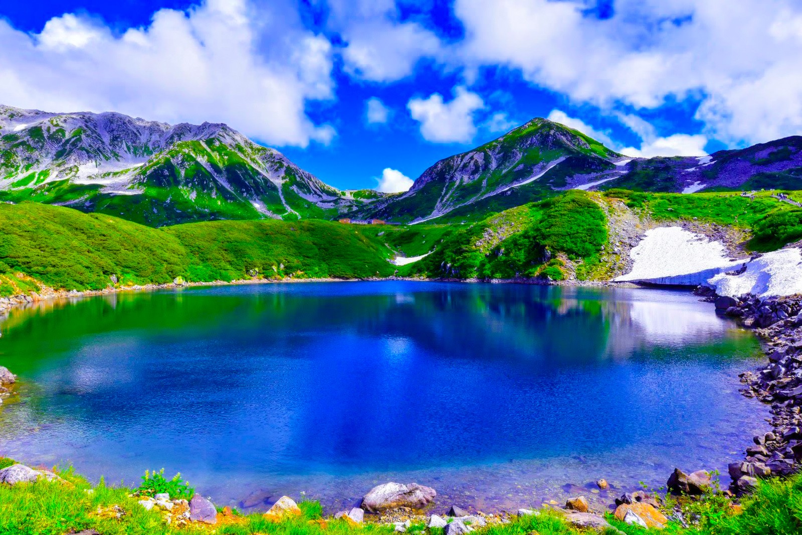 夏のみくりが池と立山連峰（標高2450m・富山県・写真=PIXTA）