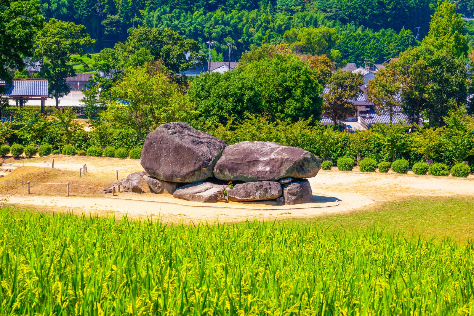 明日香村の石舞台古墳。手前に青い稲田が広がり、奥に集落と山並みが見える