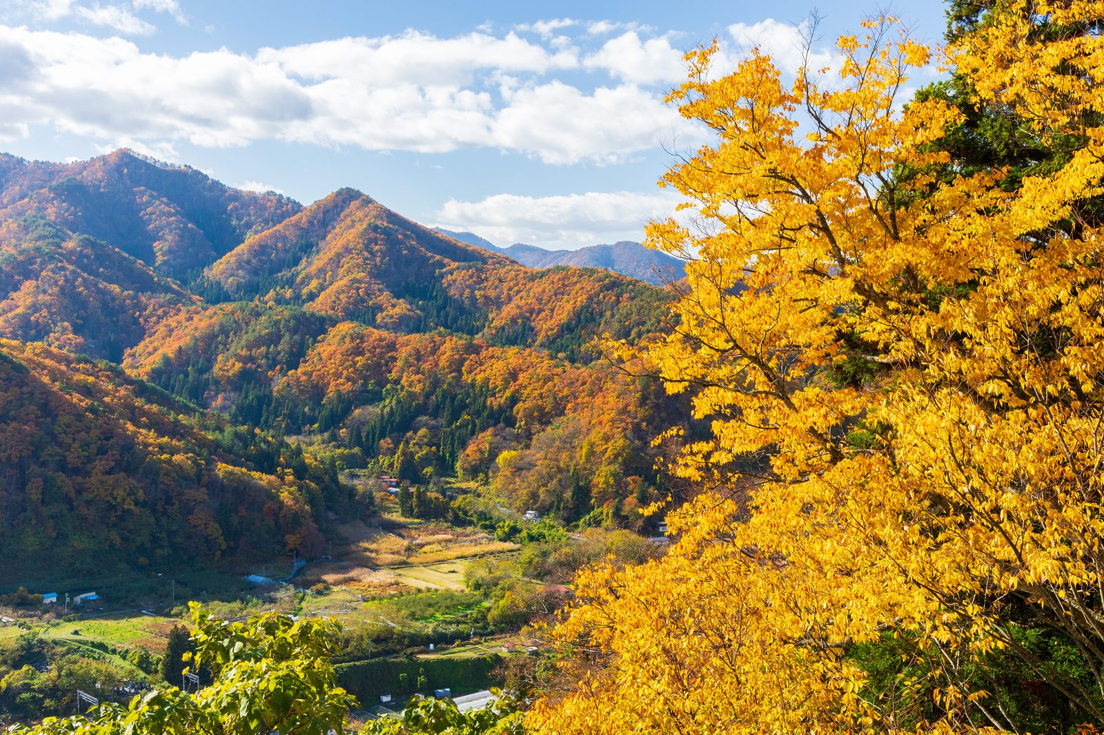 五大堂から見下ろした谷と、色づいた山肌
