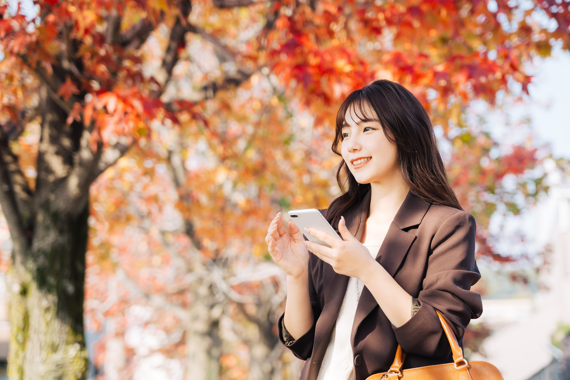 紅葉の下でスマートフォンを見る人