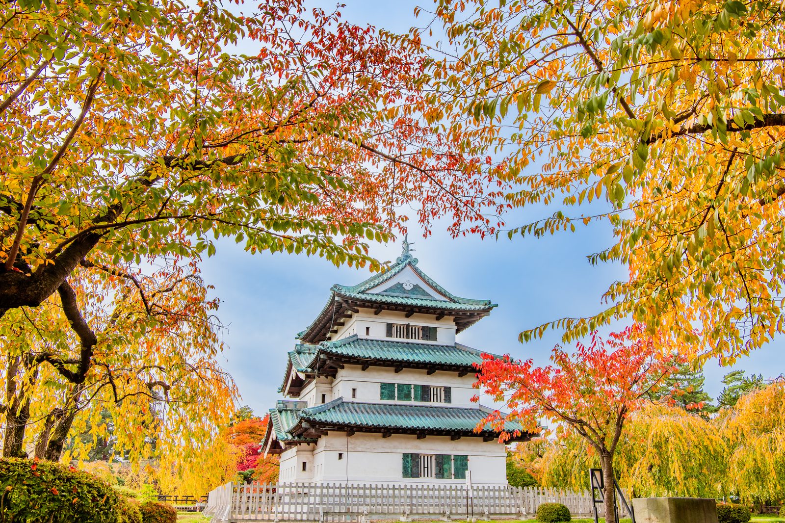 紅葉ごしに見上げる弘前城の三重天守
