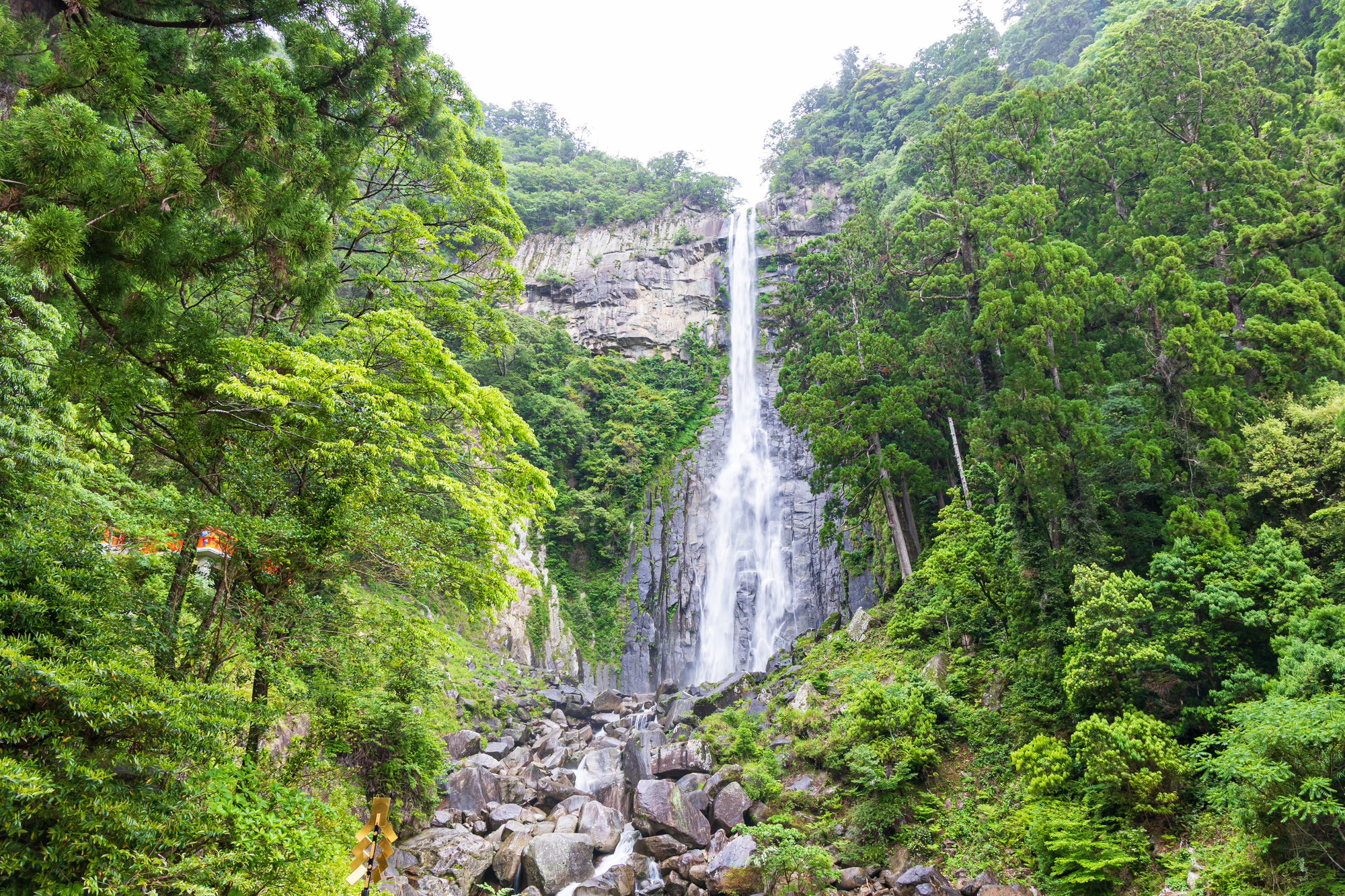 深い緑の谷あいに一筋に落ちる那智の滝