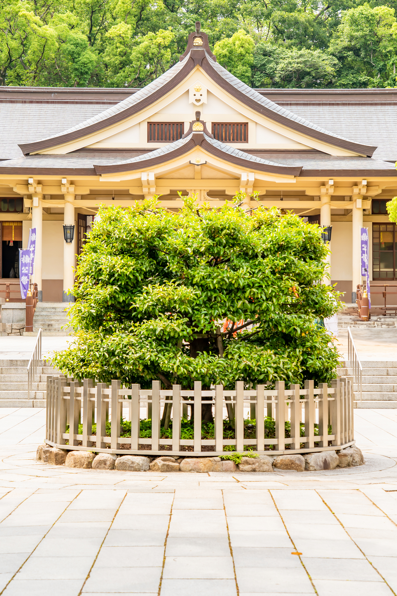 湊川神社の楠社の拝殿と大楠