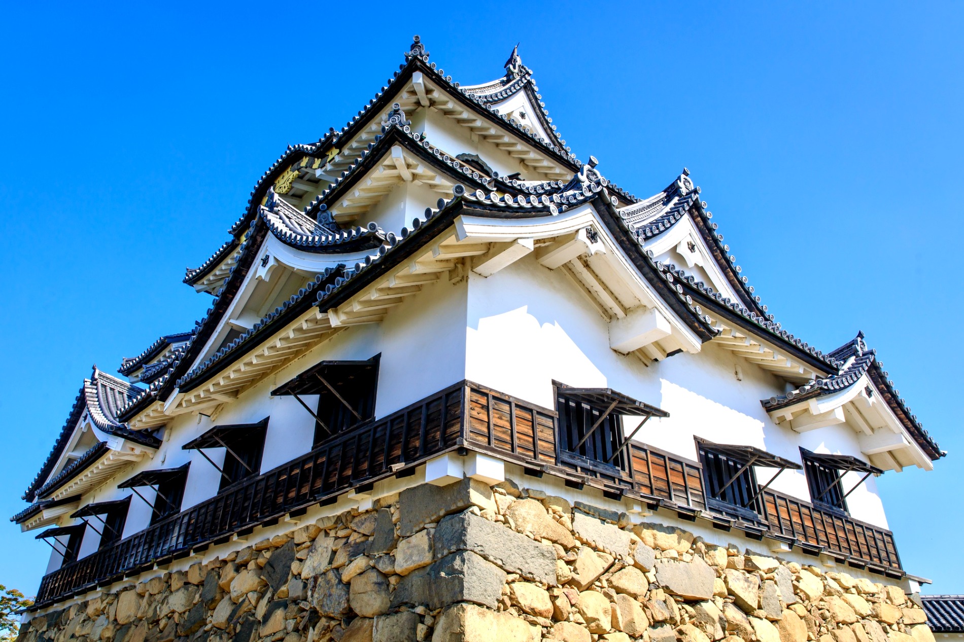 彦根城の天守を見上げたところ