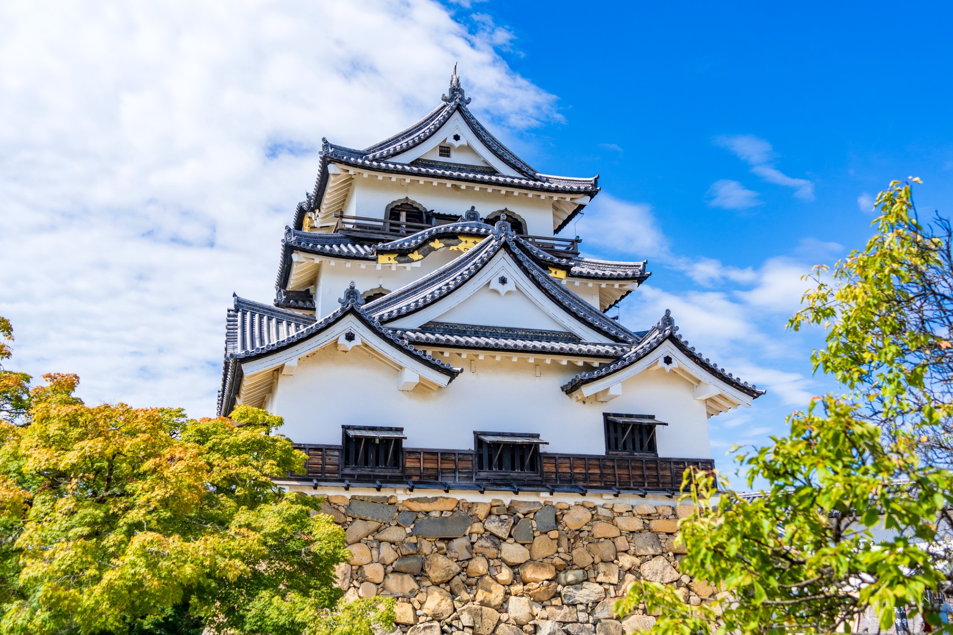 彦根城 国宝の天守の全景