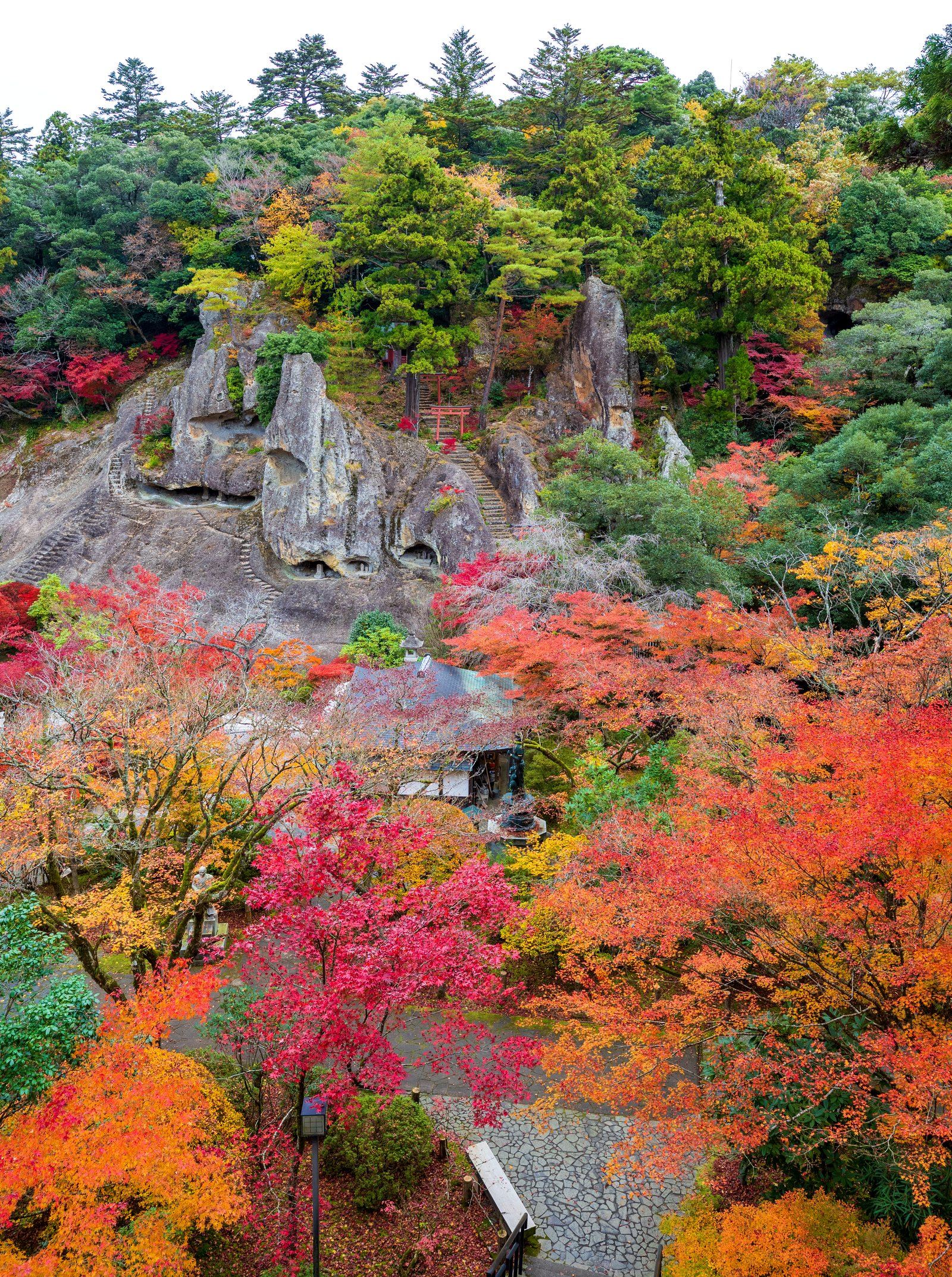 那谷寺の境内を見下ろす紅葉の全景