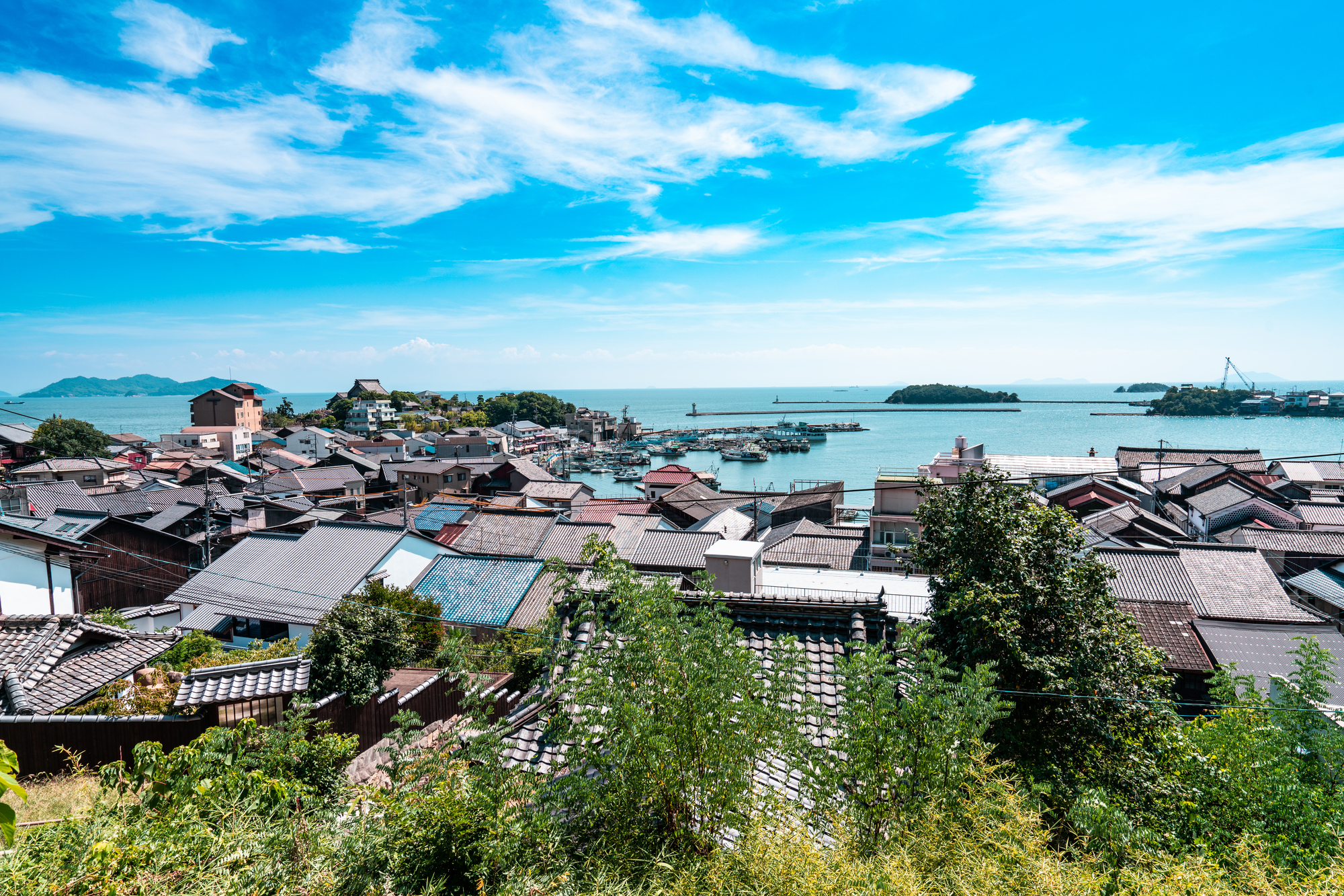 高台から見下ろした鞆の浦の町並みと港の全景